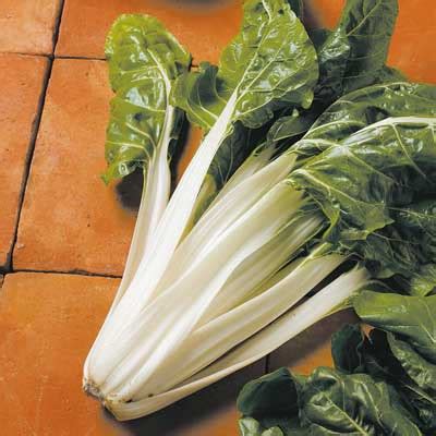 Swiss Chard Seeds Diary Of A Brussels Kitchen Garden