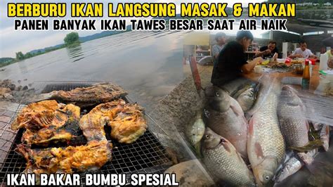 Berburu Ikan Tawes Besar Saat Sungai Mulai Banjir Langsung Masak Dan