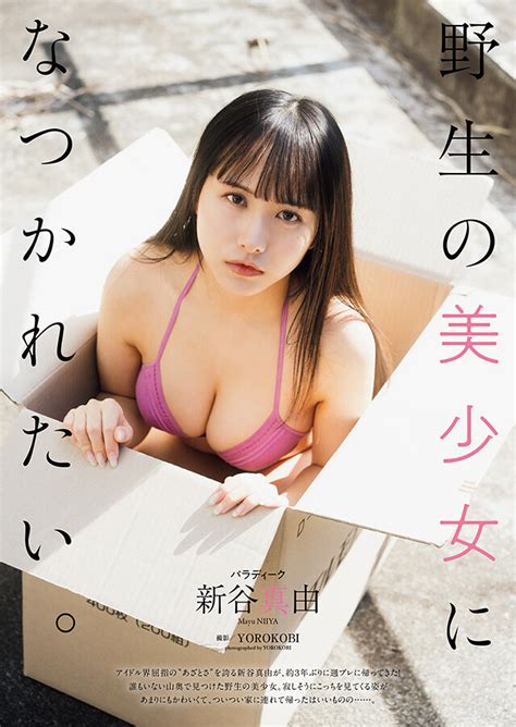 新谷真由（パラディーク）『野生の美少女になつかれたい。』 グラビア｜週プレnews[週刊プレイボーイのニュースサイト]