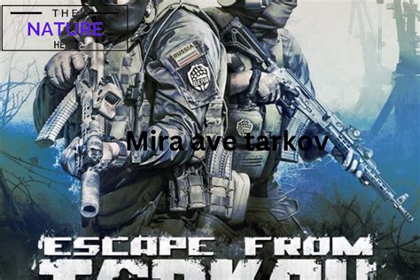 Mira Ave Extraction In Escape From Tarkov - The Nature Hero