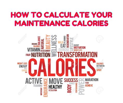 Lets Calculate Your Maintenance Calories