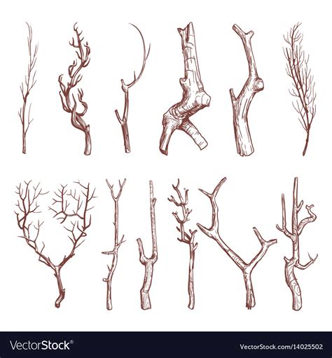 Sketch wood twigs broken tree branches set Vector Image