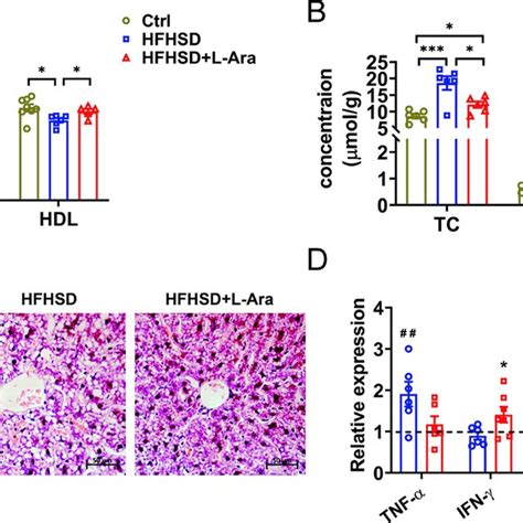 L Arabinose Modulates Hepatic Cholesterol Synthesis And Facilitates