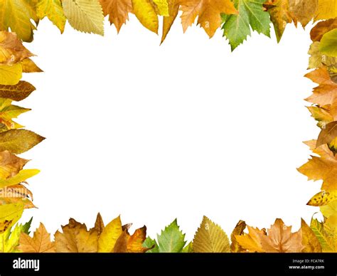 Border of autumn leaves Stock Photo - Alamy