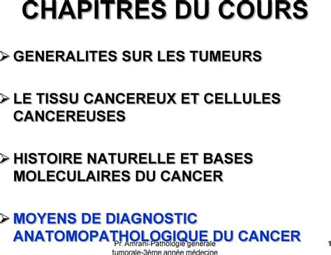 Chapitres Du Cours Le Tissu Cancereux Et Cellules Cancereuses Moyens De