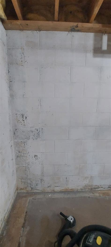 Remove Kilz paint from concrete block walls? : r/Renovations