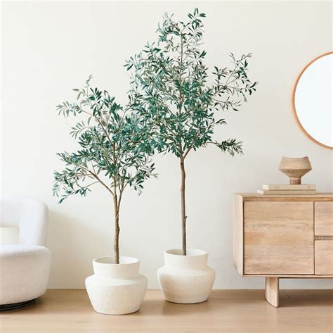 Faux Potted Olive Tree West Elm