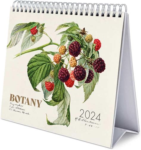 Grupo Erik Calendario Da Tavolo 2024 Botanica Calendario Scrivania