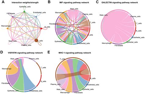 Integrating Scrna Seq And Bulk Rna Seq To Characterize Infiltrating