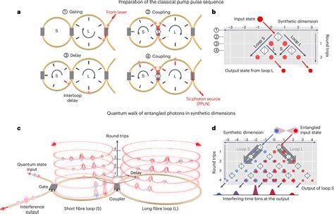 Quantum Research Breakthrough Uses Synthetic Dimensions To Efficiently