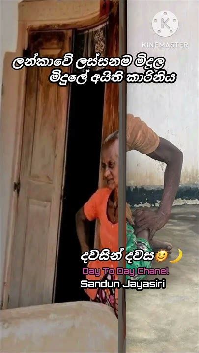 ලන්කාවෙ ලස්සනම මිදුල හා ඒ මිදුලේ අයිතිකාරිය දවසින්beautifulsrilanka Subscribe කරමු Youtube