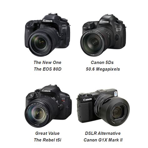 5 Best Canon DSLR Camera Choices - Updated for 2018