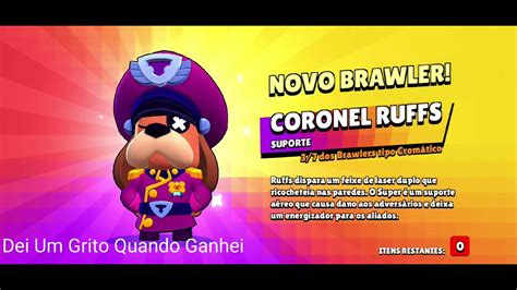 Todos Os Brawlers Que Eu Ganhei N Tenho Print Dos Outros Youtube