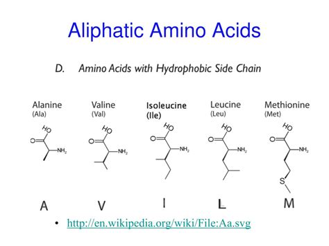 Ppt Chapter 3 Amino Acids Peptides Proteins Powerpoint Presentation