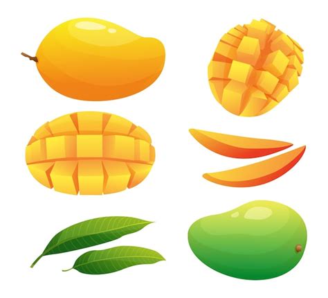 Premium Vector Set Of Fresh Whole Half Cut Slice Mango Fruits And