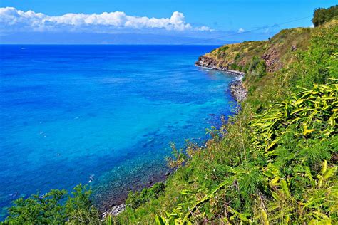 Where to Find the Best Snorkeling In Lahaina & West Maui: 2025 Guide!