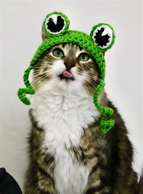 Frog Hat For Cats Funny Feline Frog Accessory Costume Frog Etsy