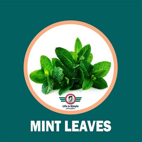 Uses and Benefits of Mint Leaves | Mint leaves benefits, How to relieve ...