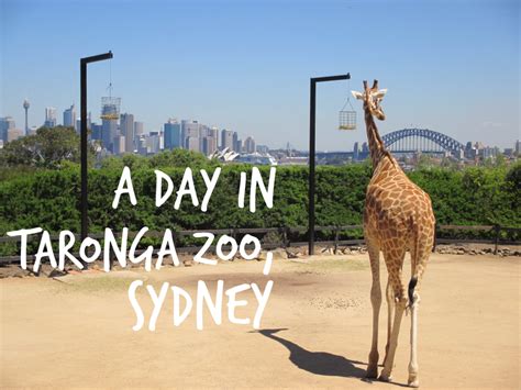 A day in Taronga Zoo, Sydney - Magnificent Escape