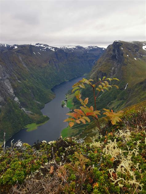 10 great hikes with fjord views | Norway’s best