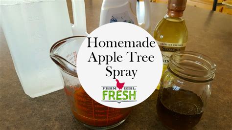 Homemade Apple Tree Spray Farm Girl Fresh