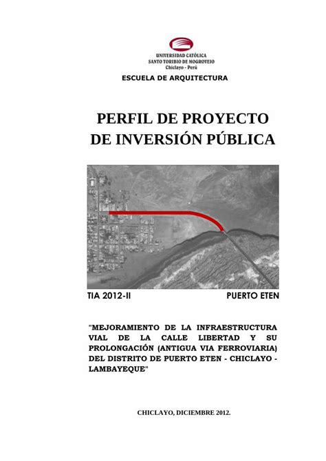 PDF PIP Mejoramiento Infraestructura Vial DOKUMEN TIPS