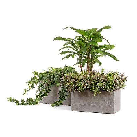 Купить кашпо Кашпо Treez с доставкой в Москве в интернет-магазине Plantis