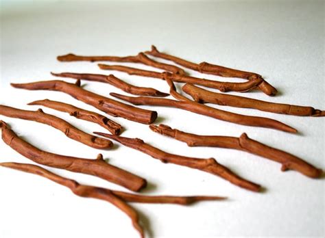 Edible Branches Sticks And Twigs Chocolate Flavor 36 Confection E