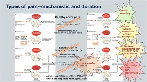 Neuropathic pain: definition, diagnosis classification and assessment ...