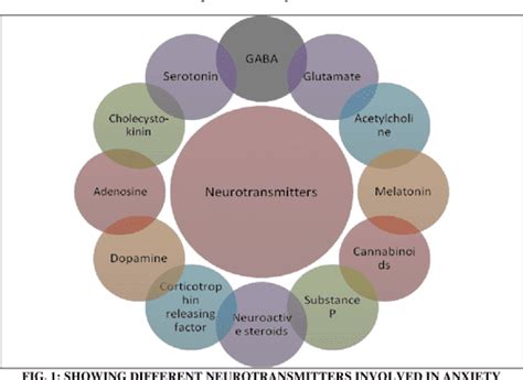 Figure 2 From Role Of Different Neurotransmitters In Anxiety A