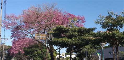 Maring Ter Uma Segunda Feira Tempo Nublado E Temperaturas Entre