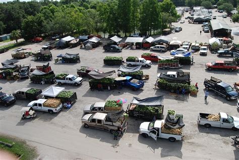 Plant City Farmers Market - LocalHarvest