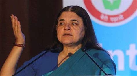 Bjp Mp Maneka Gandhi Said That Donkey Milk Soap Woman Body Beautiful