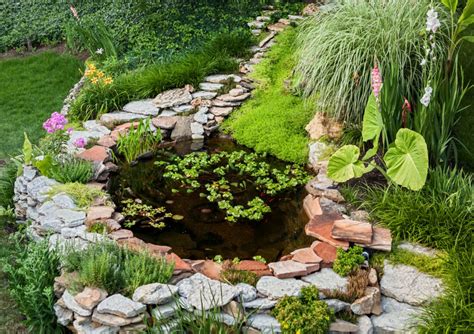 Above Ground Koi Pond Ideas For Trendy Homeowners