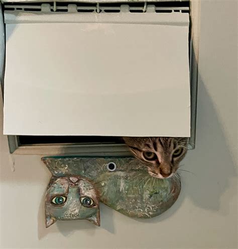 Diy Cat Door 3rins View