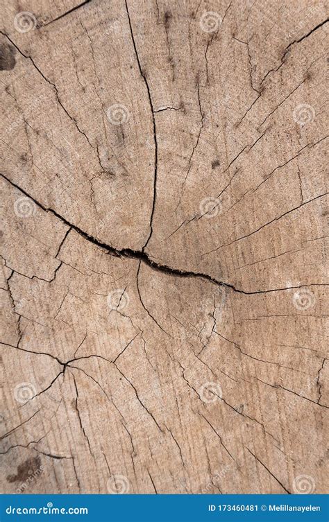 Cracked Wood Texture Stock Image Image Of Backdrop 173460481