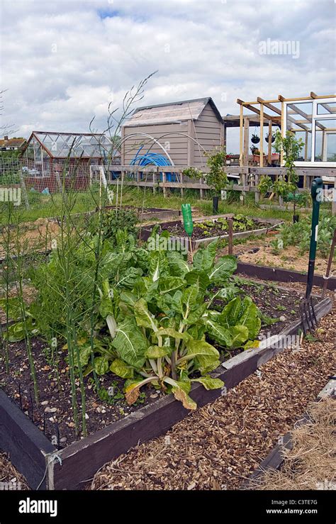 Working Allotment Beds Stock Photo Alamy