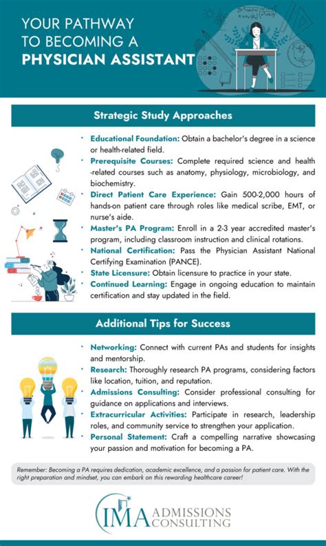 Your Definitive Guide to PA School Requirements and Prerequisites (2024 ...