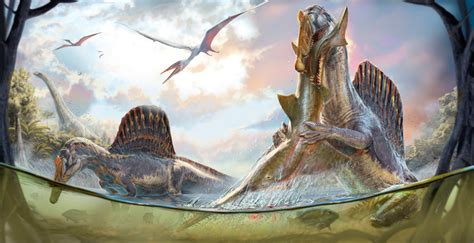 Paleontologists Find Flaws in Research Supporting Aquatic Pursuit ...