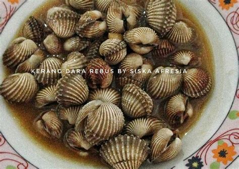 Resep Kerang Dara Rebus Oleh Siska Afresia Hemingway Cookpad