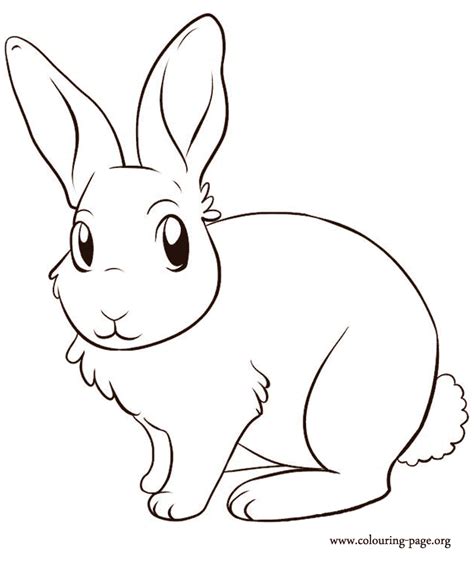 Baby Rabbits Coloring Pages Coloring Home