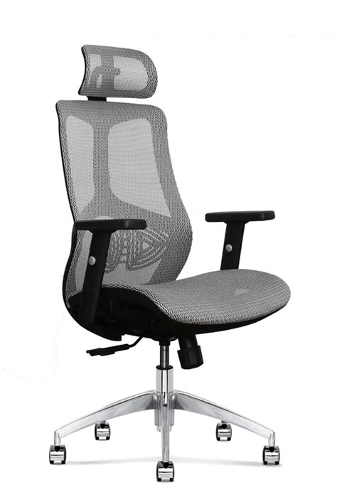 best ergonomic office chair with lumbar and neck support