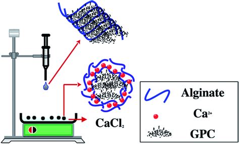 Experimental Protocol For Carbonaceous Coreshell Alginatecalcium