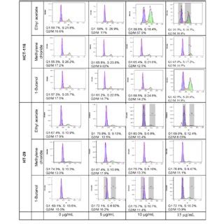 Cell Cycle Analysis By Cytometry Of Hct And Ht Cells Treated