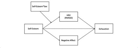 Conceptual Representation Of The Hypothesized Moderated Mediation