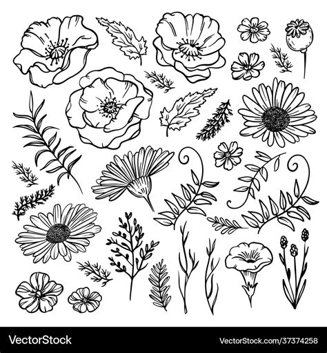 Wild Flower Clipart