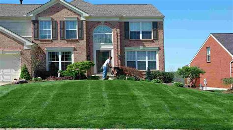 7 Key Benefits Of Professional Lawn Care MarketGit