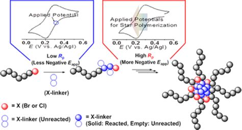 Star Synthesis Using Macroinitiators Via Electrochemically Mediated