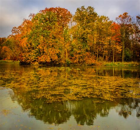 Where to Photograph the Fall Colors in Cuyahoga Valley National Park | Martin Belan