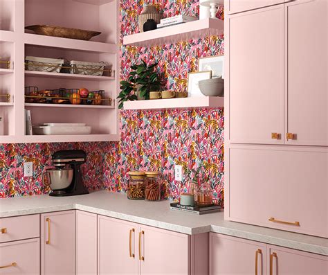 Contemporary Pink Painted Pantry Cabinets - Hoyt Door Style - Diamond